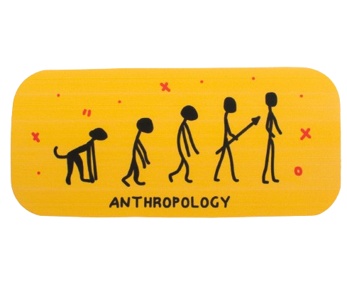 Anthropology sticker